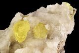 Sulfur Crystals On Selenite - Cianciana Mine, Italy #93656-1